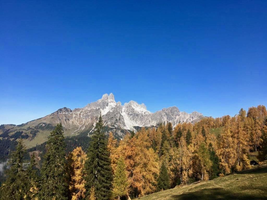 Appartementhaus Reiter Village Room Altenmarkt im Pongau Dış mekan fotoğraf